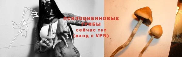 спайс Алзамай
