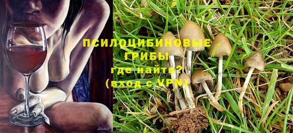 спайс Алзамай