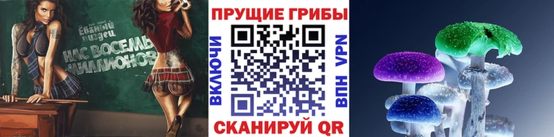 Галлюциногенные грибы Magic Shrooms  кракен ONION  Невинномысск 